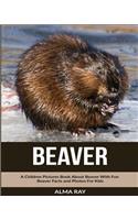 Beaver