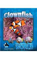 Clownfish