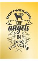 Rottweilers are angels in fur coats.