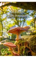 Pilz-Buch zum Sammeln