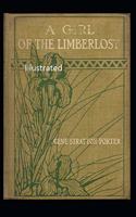 A Girl of The Limberlost Illustrated