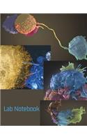 Lab Notebook