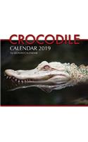 Crocodile Calendar 2019: 16 Month Calendar