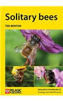 Solitary bees
