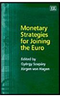 Monetary Strategies for Joining the Euro