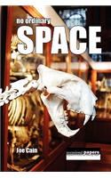 No Ordinary Space