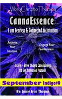 VibroChromoTherapy Indigo