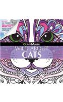Wild about Cats