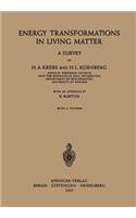 Energy Transformations in Living Matter