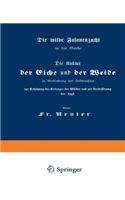 Kultur Der Eiche Und Der Weide in Verbindung Mit Feldfrüchten Zur Erhöhung Des Ertrages Der Wälder Und Zur Verbesserung Der Jagd