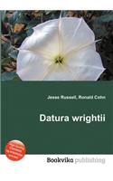 Datura Wrightii