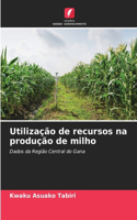 Utilização de recursos na produção de milho
