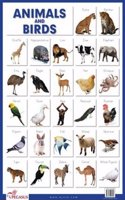 Animals and Birds