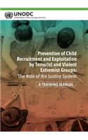 Prevention of Child Recruitment and Exploitation by Terrorist and Violent Extremist Groups