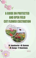 Guide on Protected and Open Field Cut Flowers Cultivation