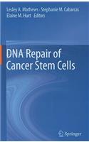 DNA Repair of Cancer Stem Cells