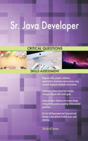 Sr. Java Developer Critical Questions Skills Assessment