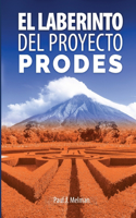 El laberinto del Proyecto PRODES: Análisis de una contribución con fondos de la cooperación holandesa al desarrollo socio económico del municipio de Nueva Guinea - Nicaragua
