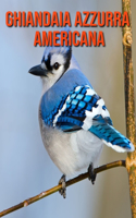 Ghiandaia azzurra americana
