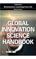 Global Innovation Science Handbook, Chapter 9 - Biomimetics
