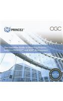Executive Guide to Directing Projects: Within a PRINCE2 and MSP Environment