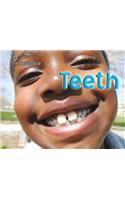 Teeth