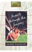 Insects through the Seasons
