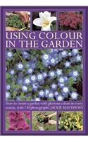 Using Colour in the Gardens