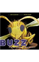 Buzz