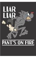 Sarcasm Liar Liar Notebook Journal: Sarcasm Liar Liar Notebook Journal Gift College Ruled 6 x 9 120 Pages