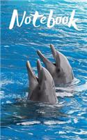 Dolphin Notebook