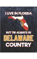 I Live in Florida But I'm Always in Delaware Country