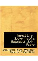 Insect Life