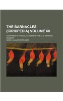 The Barnacles (Cirripedia) Volume 60; Contained in the Collections of the U. S. National Museum: (English)