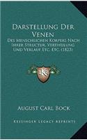 Darstellung Der Venen