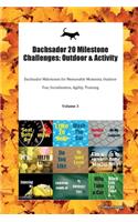 Dachsador 20 Milestone Challenges: Outdoor & Activity Dachsador Milestones for Memorable Moments, Outdoor Fun, Socialization, Agility, Training Volume 3