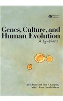 Genes Culture Human Evolution C