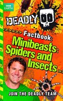 Minibeasts, Spiders and Insects