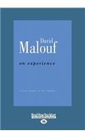On Experience (Large Print 16pt)