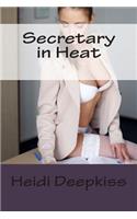 Secretary in Heat