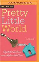 Pretty Little World