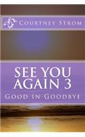 See You Again 3