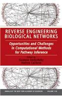 Reverse Engineering Biological Networks