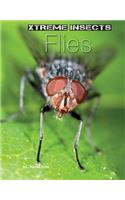 Flies