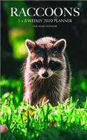 Raccoons 5 x 8 Weekly 2020 Planner: One Year Calendar