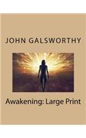 Awakening: Large Print