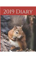 2019 Diary: Weekly Planner & Monthly Calendar - Desk Diary, Journal, Red Squirrel, Wildlife,