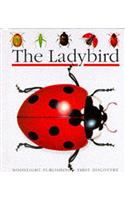 Ladybird