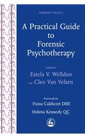 Practical Guide to Forensic Psychotherapy