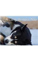 A Long Winter's Nap